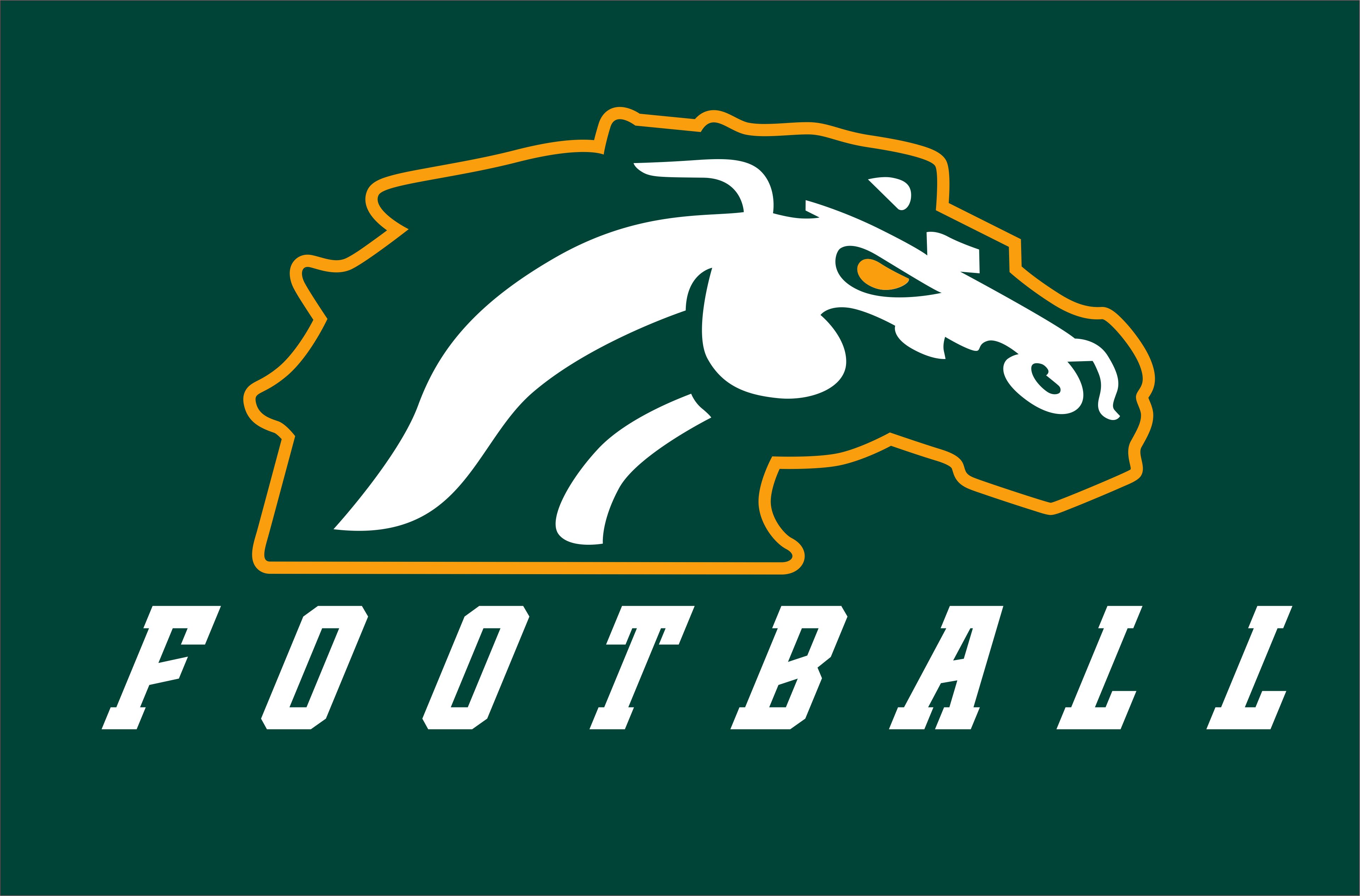 Montville Broncos Football 2025